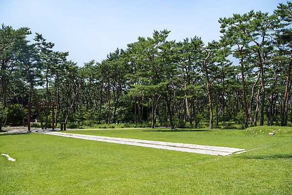 포토 JPG 주간 나무 한국전통 여행 유적지 풍경 사람없음 야외 여름 관광지 세계문화유산 문화재 역사 한국사 조선시대 남양주 사릉 어로 왕릉 조선왕릉 정순왕후 신로 국내포토 자연요소 식물 전통 계절 고건축 한국 경기도 파일형식 왕후 향어로