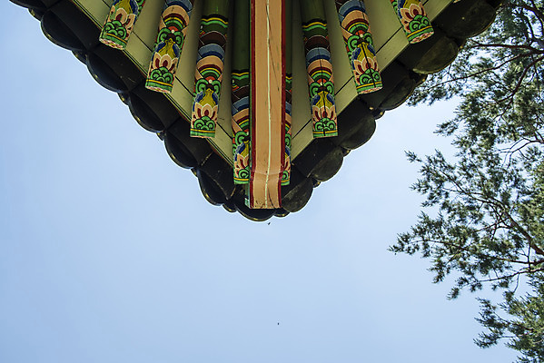 포토 JPG 주간 한국전통 로우앵글 여행 유적지 단청문양 풍경 사람없음 야외 여름 관광지 세계문화유산 문화재 역사 한국사 조선시대 남양주 사릉 왕릉 정자각 조선왕릉 정순왕후 국내포토 자연요소 전통 문양 계절 뷰포인트 고건축 한국 단청 경기도 파일형식 왕후