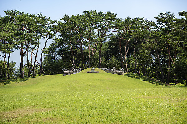 포토 JPG 주간 한국전통 여행 유적지 풍경 사람없음 야외 여름 관광지 세계문화유산 문화재 무덤 묘 소나무 역사 한국사 조선시대 남양주 사릉 왕릉 조선왕릉 정순왕후 국내포토 자연요소 나무 전통 계절 고건축 한국 경기도 파일형식 왕후