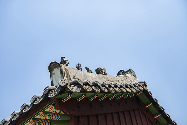 포토 JPG 주간 한국전통 로우앵글 여행 유적지 하늘 풍경 사람없음 야외 여름 관광지 세계문화유산 문화재 역사 한국사 조선시대 기와지붕 남양주 사릉 왕릉 잡상 정자각 조선왕릉 정순왕후 국내포토 자연요소 전통 계절 뷰포인트 고건축 지붕 한국 기와 경기도 파일형식 왕후