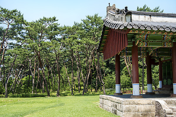 포토 JPG 주간 한국전통 여행 유적지 풍경 사람없음 야외 여름 관광지 세계문화유산 문화재 소나무 역사 한국사 조선시대 남양주 사릉 왕릉 정자각 조선왕릉 정순왕후 국내포토 자연요소 나무 전통 계절 고건축 한국 경기도 파일형식 왕후