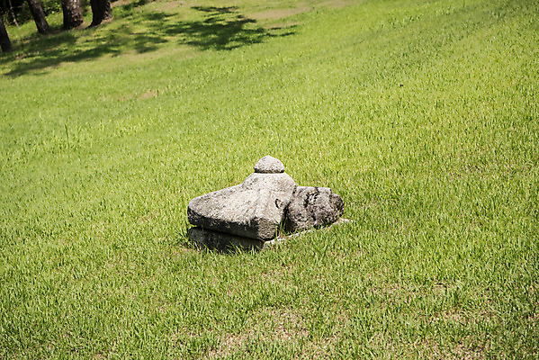 포토 JPG 주간 한국전통 여행 유적지 풍경 사람없음 야외 여름 관광지 세계문화유산 문화재 역사 한국사 조선시대 남양주 사릉 왕릉 조선왕릉 정순왕후 국내포토 자연요소 전통 계절 고건축 한국 경기도 파일형식 왕후