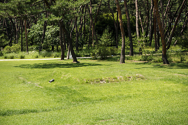 포토 JPG 주간 한국전통 여행 유적지 풍경 사람없음 야외 여름 관광지 세계문화유산 문화재 역사 한국사 조선시대 남양주 사릉 왕릉 조선왕릉 수라간 정순왕후 국내포토 자연요소 전통 계절 고건축 한국 경기도 파일형식 왕후