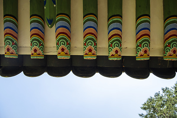 포토 JPG 주간 한국전통 여행 유적지 단청문양 풍경 사람없음 야외 여름 관광지 세계문화유산 문화재 역사 한국사 조선시대 남양주 사릉 왕릉 정자각 조선왕릉 정순왕후 국내포토 자연요소 전통 문양 계절 고건축 한국 단청 경기도 파일형식 왕후