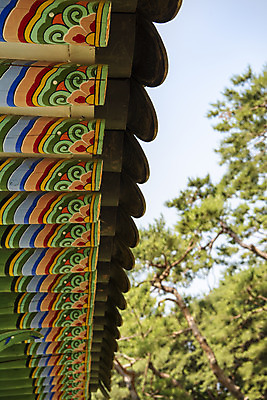 포토 JPG 주간 한국전통 여행 유적지 단청문양 풍경 사람없음 야외 여름 관광지 세계문화유산 문화재 역사 한국사 조선시대 남양주 사릉 왕릉 정자각 조선왕릉 정순왕후 국내포토 자연요소 전통 문양 계절 고건축 한국 단청 경기도 파일형식 왕후