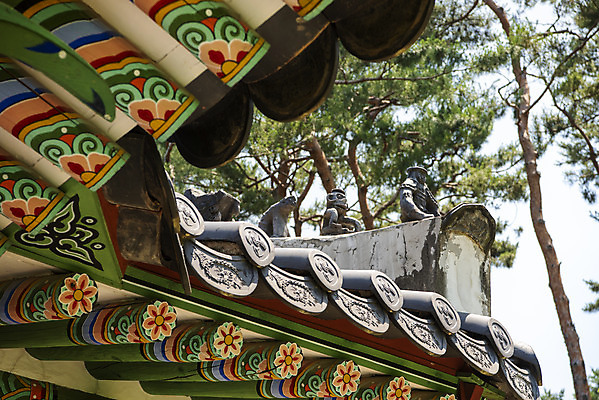 포토 JPG 주간 한국전통 여행 유적지 단청문양 풍경 사람없음 야외 여름 관광지 세계문화유산 문화재 역사 한국사 조선시대 남양주 사릉 왕릉 잡상 정자각 조선왕릉 정순왕후 국내포토 자연요소 전통 문양 계절 고건축 한국 기와 단청 경기도 파일형식 왕후