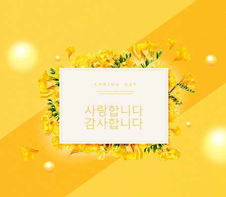 PSD 편집이미지 꽃 꽃백그라운드 프레임 사랑 사람없음 노란색 봄 표어 감사 이미지편집 식물 계절 감정 컬러 백그라운드 파일형식