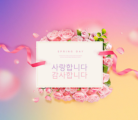 PSD 편집이미지 꽃잎 리본 분홍색 꽃백그라운드 프레임 사랑 사람없음 노란색 봄 표어 감사 이미지편집 계절 꽃 감정 컬러 백그라운드 파일형식