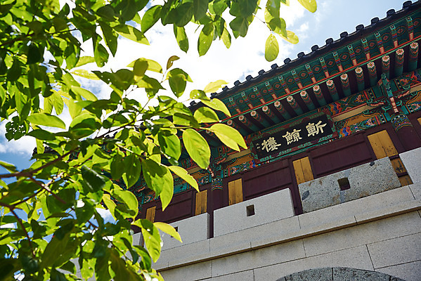 포토 JPG 주간 구름 여행 한국건축 유적지 하늘 나뭇잎 풍경 사람없음 야외 관광지 봄 문화재 역사 한국사 강화도 국내여행 명승지 사적지 용진진 국내포토 자연요소 계절 건축 고건축 잎 인천 파일형식