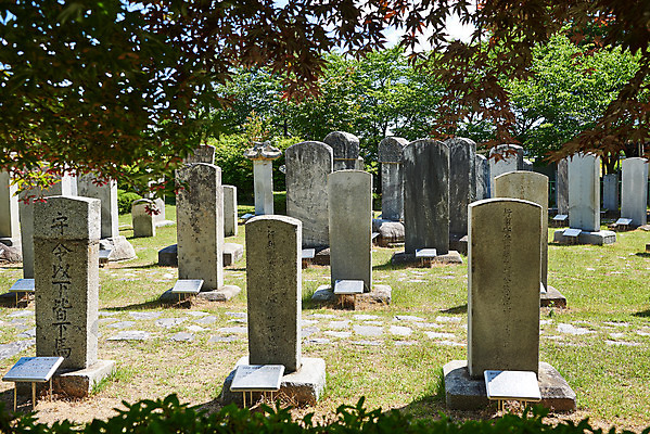 포토 JPG 주간 여행 한국건축 유적지 풍경 사람없음 야외 관광지 봄 문화재 역사 한국사 강화도 국내여행 명승지 사적지 갑곶돈대 강화비석군 국내포토 자연요소 계절 건축 고건축 비석 인천 파일형식