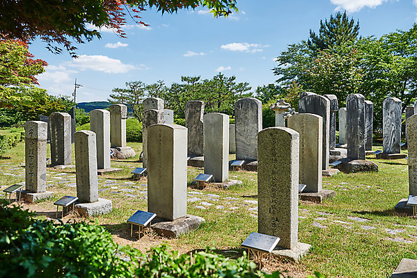 포토 JPG 주간 여행 한국건축 유적지 풍경 사람없음 야외 관광지 봄 문화재 역사 한국사 강화도 국내여행 명승지 사적지 갑곶돈대 강화비석군 국내포토 자연요소 계절 건축 고건축 비석 인천 파일형식