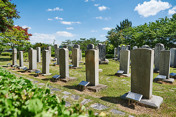 포토 JPG 주간 여행 한국건축 유적지 풍경 사람없음 야외 관광지 봄 문화재 역사 한국사 강화도 국내여행 명승지 사적지 갑곶돈대 강화비석군 국내포토 자연요소 계절 건축 고건축 비석 인천 파일형식