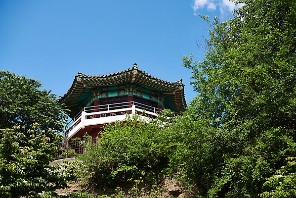 포토 JPG 주간 나무 로우앵글 여행 한국건축 유적지 하늘 풍경 사람없음 야외 관광지 봄 문화재 역사 한국사 정자 강화도 국내여행 명승지 사적지 갑곶돈대 국내포토 자연요소 식물 건축물 계절 건축 뷰포인트 고건축 인천 파일형식