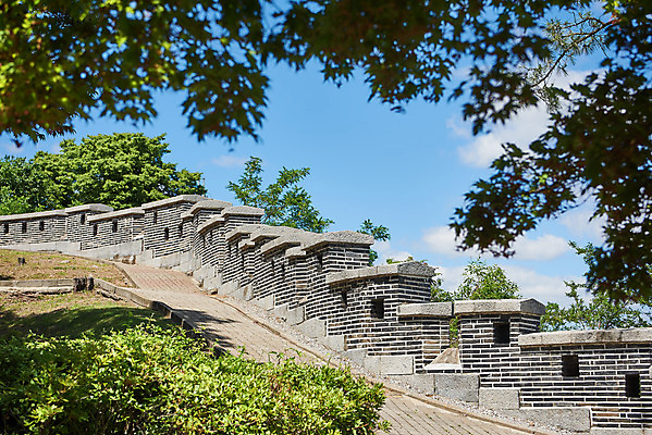 포토 JPG 주간 나무 여행 한국건축 유적지 풍경 사람없음 야외 관광지 봄 문화재 역사 한국사 강화도 국내여행 명승지 사적지 성곽길 갑곶돈대 국내포토 자연요소 식물 계절 건축 길 고건축 인천 파일형식