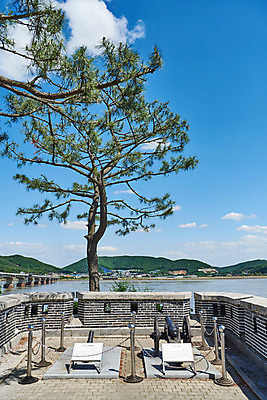 포토 JPG 주간 나무 여행 한국건축 유적지 하늘 풍경 사람없음 야외 관광지 봄 문화재 역사 한국사 강화도 국내여행 명승지 사적지 갑곶돈대 국내포토 자연요소 식물 계절 건축 고건축 인천 파일형식