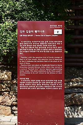 포토 JPG 주간 여행 한국건축 유적지 풍경 사람없음 야외 관광지 봄 문화재 표지판 역사 한국사 강화도 국내여행 명승지 사적지 탱자나무 갑곶돈대 국내포토 자연요소 나무 계절 건축 고건축 알림판 인천 파일형식