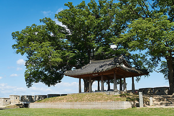 포토 JPG 주간 나무 구름 여행 한국건축 유적지 하늘 풍경 사람없음 야외 관광지 봄 문화재 역사 한국사 정자 강화도 국내여행 명승지 사적지 월곶진 연미정 국내포토 자연요소 식물 건축물 계절 건축 고건축 정자_건축물 인천 파일형식
