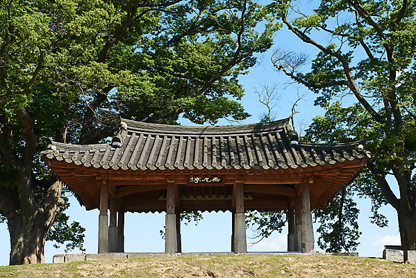 포토 JPG 주간 나무 여행 한국건축 유적지 풍경 사람없음 야외 관광지 봄 문화재 역사 한국사 강화도 국내여행 명승지 사적지 월곶진 연미정 국내포토 자연요소 식물 계절 건축 고건축 정자_건축물 인천 파일형식