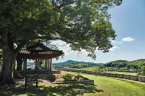 포토 JPG 주간 나무 구름 여행 한국건축 유적지 하늘 풍경 사람없음 야외 관광지 봄 문화재 역사 한국사 강화도 국내여행 명승지 사적지 월곶진 연미정 국내포토 자연요소 식물 계절 건축 고건축 정자_건축물 인천 파일형식