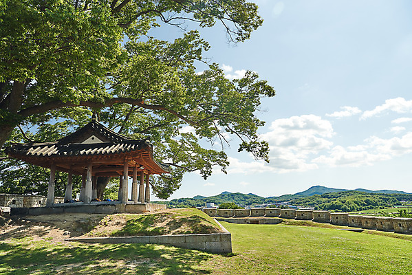 포토 JPG 주간 나무 구름 여행 한국건축 유적지 하늘 풍경 사람없음 야외 관광지 봄 문화재 역사 한국사 강화도 국내여행 명승지 사적지 월곶진 연미정 국내포토 자연요소 식물 계절 건축 고건축 정자_건축물 인천 파일형식