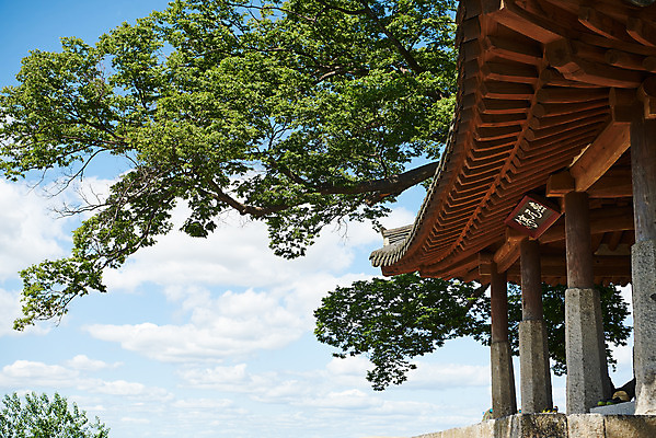 포토 JPG 주간 나무 구름 여행 한국건축 유적지 하늘 풍경 사람없음 야외 관광지 봄 문화재 역사 한국사 강화도 국내여행 명승지 사적지 월곶진 연미정 국내포토 자연요소 식물 계절 건축 고건축 정자_건축물 인천 파일형식