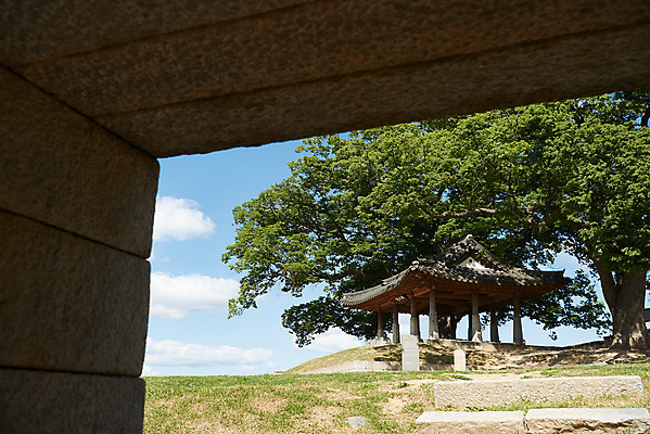 포토 JPG 주간 나무 여행 한국건축 유적지 풍경 사람없음 야외 관광지 봄 문화재 역사 한국사 강화도 국내여행 명승지 사적지 월곶진 연미정 국내포토 자연요소 식물 계절 건축 고건축 정자_건축물 인천 파일형식