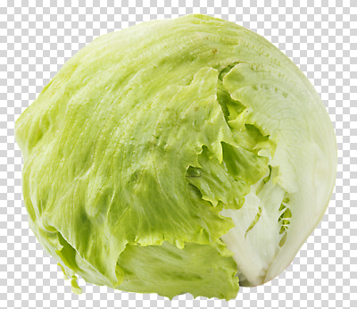 편집이미지 다이어트 식재료 누끼 사람없음 한개 신선 양상추 배송 채식 PNG 편집소스 새벽배송 1 채소 건강 파일형식
