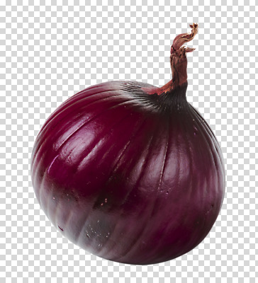 편집이미지 식재료 누끼 사람없음 한개 신선 배송 채식 PNG 적양파 편집소스 새벽배송 1 양파 파일형식