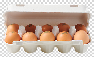 편집이미지 누끼 여러명 사람없음 계란 신선 배송 PNG 편집소스 새벽배송 다수 사람 알 파일형식