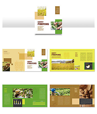 템플릿 손 여자 ZIP 리플렛 40대 중년 농업 감자 팜플렛 신체부위 초록색 농장 농사 물뿌리개 한국인 수확 농부 귀농 텃밭 중년여자만 인디자인 INDD 이미지템플릿 직업 산업 컬러 밭 채소 사람 동양인 성인 여자만 중년만 파일형식