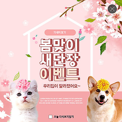 PSD 템플릿 꽃 ZIP 분홍색 웹템플릿 두마리 팝업 이벤트팝업 웹팝업 이벤트 사람없음 인테리어 고양이 봄 벚꽃 강아지 반려 빅팝업 이미지템플릿 식물 디자인 계절 컬러 2 포유류 반려동물 개 파일형식