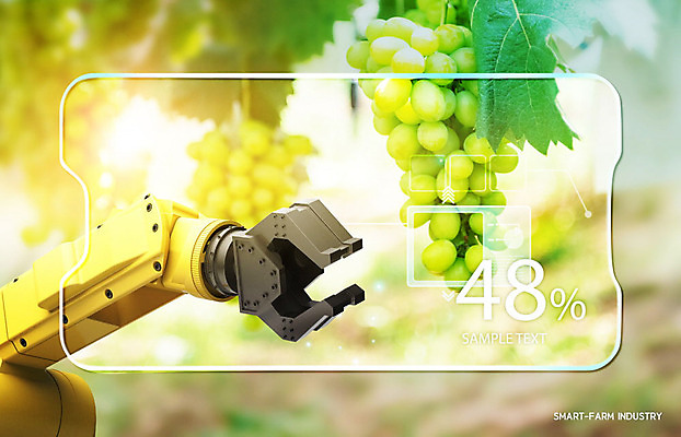 PSD 편집이미지 농업 사람없음 컬러풀 농장 수확 스마트 로봇 청포도 카피스페이스 스마트팜 이미지편집 산업 컬러 컨셉 포도 공백 파일형식