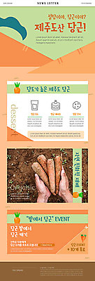PSD 템플릿 손 ZIP 웹템플릿 밭 들기 신체부위 제주도 주황색 흙 당근 땅 뉴스레터 이미지템플릿 컬러 농업 모션 뿌리채소 한국 사람 파일형식