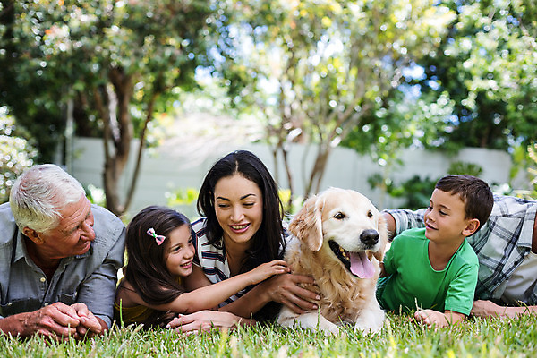 포토 JPG 해외이미지 나무 여자 할아버지 노년 남자 할머니 어린이 엎드리기 엄마 함께함 소년 잔디 여러명 상반신 성인 앞모습 소풍 화목 아빠 개 해외202004 해외포토 식물 뷰포인트 다수 컨셉 포유류 가족 모션 사람 야외활동 파일형식
