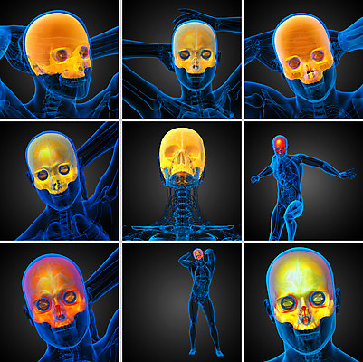 포토 JPG 해외이미지 얼굴 해부 뼈 골격 사람 사람없음 머리 3D 어둠 죽음 턱 해골모형 해외202004 해외포토 의학 신체부위 모형 디지털합성 파일형식