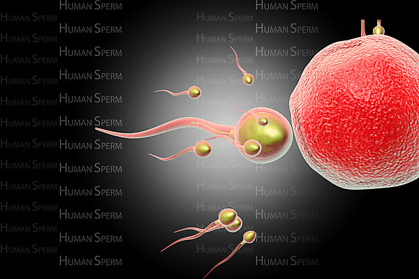 포토 JPG 해외이미지 백그라운드 신체 일러스트 상상 추상 건강 병원 사람 사람없음 약 3D 침묵 임신 광선 닫기 DNA 오브젝트 효과 해외202004 해외포토 무늬 의학 모션 소리 생명공학 디지털합성 파일형식