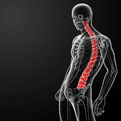 포토 JPG 해외이미지 포즈 일러스트 뼈 골격 엑스레이 건강 사람없음 파란색 3D 척추 몸통 염증 요통 해외202004 해외포토 컬러 의학 신체부위 질병 디지털합성 허리통증 파일형식