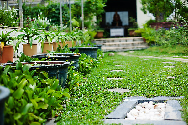 포토 JPG 해외이미지 식물 화분 잎 실내 풍경 취미 사람없음 야외 정원 물주기 원예 조경 정원가꾸기 해외202004 해외포토 모션 내부 파일형식