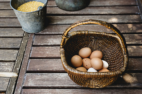 포토 JPG 해외이미지 음식 건강 사람없음 갈색 계란 신선 상품 양동이 유기농 날것 내추럴 해외202004 해외포토 웰빙 컬러 알 파일형식