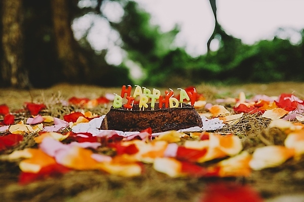 포토 JPG 해외이미지 나무 배너 기념일 행복 음식 백그라운드 휴가 디저트 기념 사람없음 초록색 단어 컬러풀 파티 케이크 축제 놀람 축하 인사 생일 달콤 숲 굽기 크림 핸드메이드 맛있는 해외202004 버터크림 해외포토 식물 문자 감정 컬러 컨셉 표정 이벤트 예절 맛 구이 파일형식