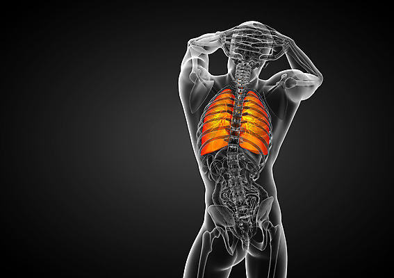 포토 JPG 해외이미지 해부 건강 사람 사람없음 3D 오르간 호흡기관 궤 염증 복부 해외202004 해외포토 의학 신체부위 장기_의학 건반악기 질병 디지털합성 파일형식