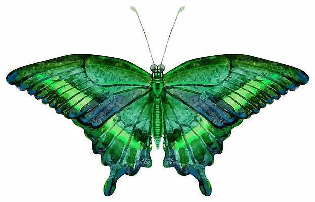 EPS 해외이미지 동물 디자인 종이 나비 곤충 백그라운드 컨셉 꽃무늬 패턴 날개 일러스트 자연 수채화 미술 장식 초록색 여름 파란색 컬러풀 노란색 축제 봄 꿈 수확 흰색 축하 싱글 그림 질감 초대 내추럴 고립 무료 이국적 스타일 현실 해외일러스트 계절 꽃 컬러 무늬 농업 문화예술 생태계 파일형식 벡터 이미지허브