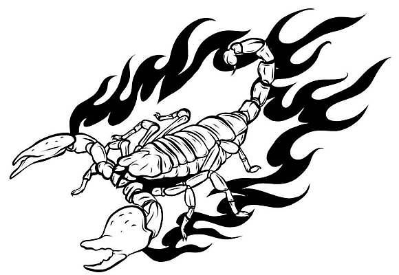 EPS 해외이미지 동물 디자인 실루엣 별 백그라운드 오렌지 일러스트 불 추상 미래 미술 그래픽 장식 물 세트 우주 금속 검은색 뜨거움 황금 위험 신비 전갈 문신 심볼 사인 심플 점성술 신화 펜치 고립 엘리먼트 폴리곤 해외일러스트 자연요소 컬러 컨셉 무늬 절지류 과일 재질 문화예술 촬영기법 공구 파일형식 벡터 이미지허브