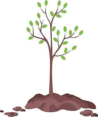 EPS 해외이미지 일러스트 나뭇잎 사람없음 흙 나뭇가지 원예 나무심기 묘목 반려식물 해외일러스트 나무 식물 잎 취미 심기 파일형식 벡터 이미지허브