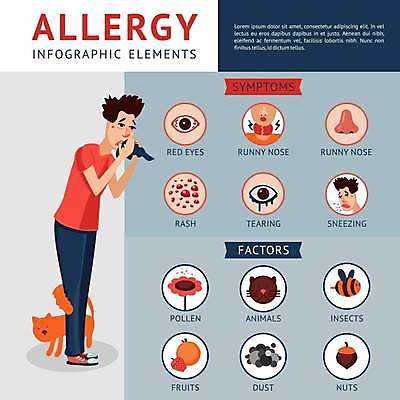 EPS 해외이미지 전신 동물 남자 과일 일러스트 한명 들기 성인 인포그래픽 견과류 먼지 손수건 두드러기 재채기 증상 충혈 콧물 성인남자한명만 꽃가루알레르기 해외일러스트 1 모션 사람 알레르기 생리현상 남자한명만 성인남자만 파일형식 벡터 이미지허브