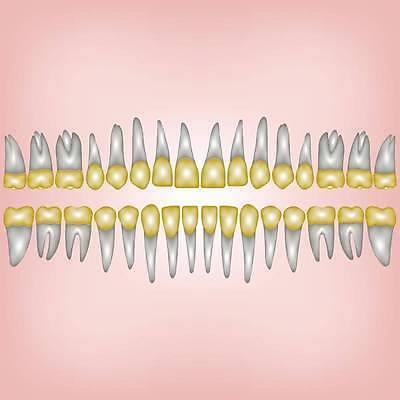 EPS 해외이미지 디자인 백그라운드 컨셉 일러스트 왕관 새로움 건강 치과 병원 그래픽 약 3D 흰색 기술자 황금 실험실 치아 심볼 오브젝트 치과의사 만들기 송곳니 고립 돌봄 해외일러스트 직업 컬러 의학 모션 실험 의사 소화기관 디지털합성 파일형식 벡터 이미지허브