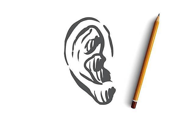 EPS 해외이미지 컨셉 일러스트 신체부위 스케치 귀 손그림 해외일러스트 미술 사람 파일형식 벡터 이미지허브