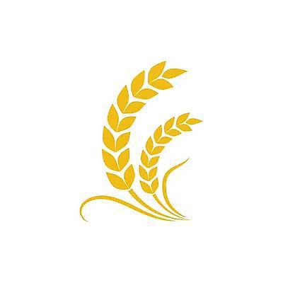 EPS 해외이미지 식물 디자인 배너 음식 빵 농업 다이어트 일러스트 밥 건강 농작물 농장 라벨 성장 신선 황금 상품 낟알 밀 심볼 사인 유기농 내추럴 엘리먼트 귀리 해외일러스트 웰빙 산업 곡류 프레임 파일형식 벡터 이미지허브