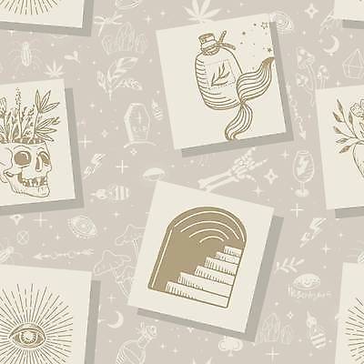 EPS 해외이미지 템플릿 배너 별 선 컨셉 일러스트 추상 세트 유행 버섯 덮개 달 발표 신비 크리스탈 스케치 수집 심볼 사인 레이아웃 정사각형 점성술 공상 마법 회전목마 UI 블로거 소셜 소셜미디어 엘리먼트 초능력 미니멀 해외일러스트 자연요소 도형 무늬 미술 뚜껑 놀이기구 광석 파일형식 벡터 이미지허브