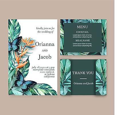 EPS 해외이미지 나비 결혼 카드템플릿 일러스트 사람없음 초록색 흰색 청첩장 초대장 초대 극락조화 열대잎 보테니컬아트 해외일러스트 식물 템플릿 컬러 곤충 잎 카드_감사 이벤트 파일형식 벡터 이미지허브